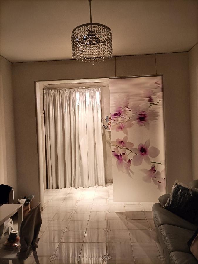 카스텔라마레디스타비아 Butterfly House B&B 외부 사진