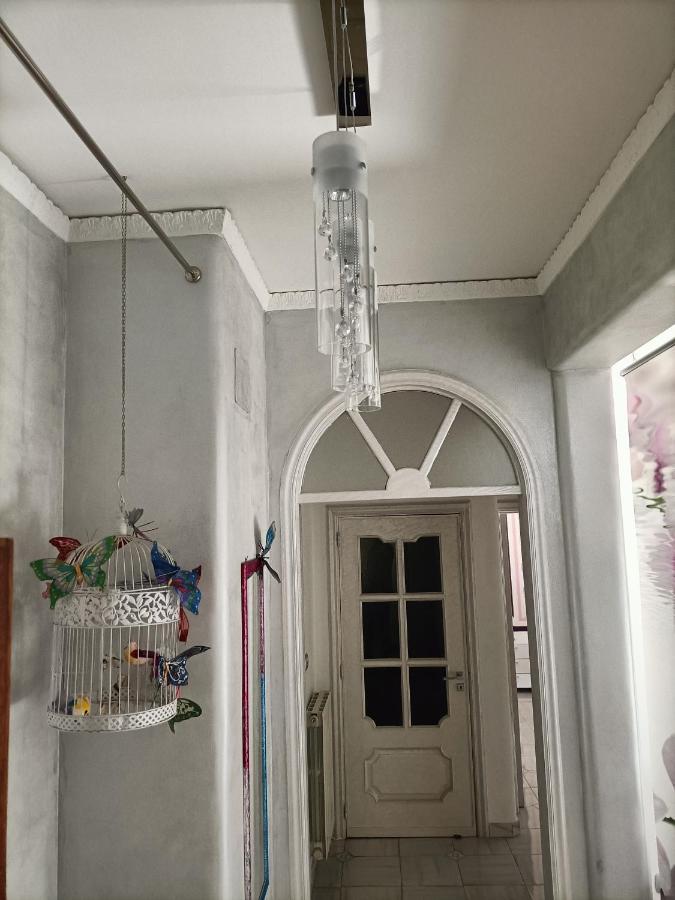 카스텔라마레디스타비아 Butterfly House B&B 외부 사진