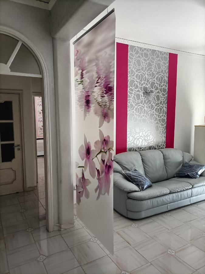 카스텔라마레디스타비아 Butterfly House B&B 외부 사진