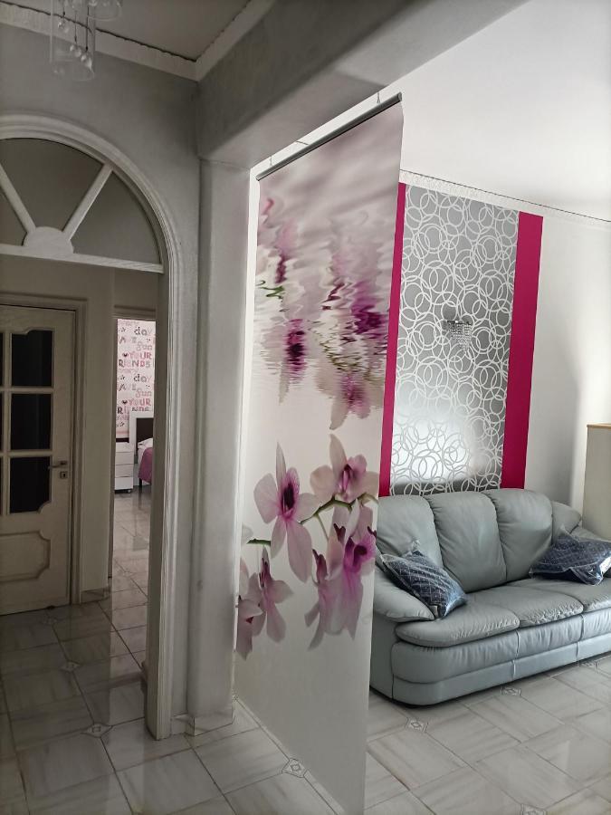 카스텔라마레디스타비아 Butterfly House B&B 외부 사진